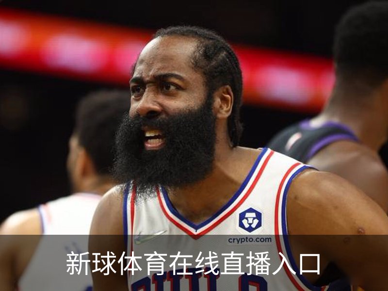 新球体育在线直播入口简介